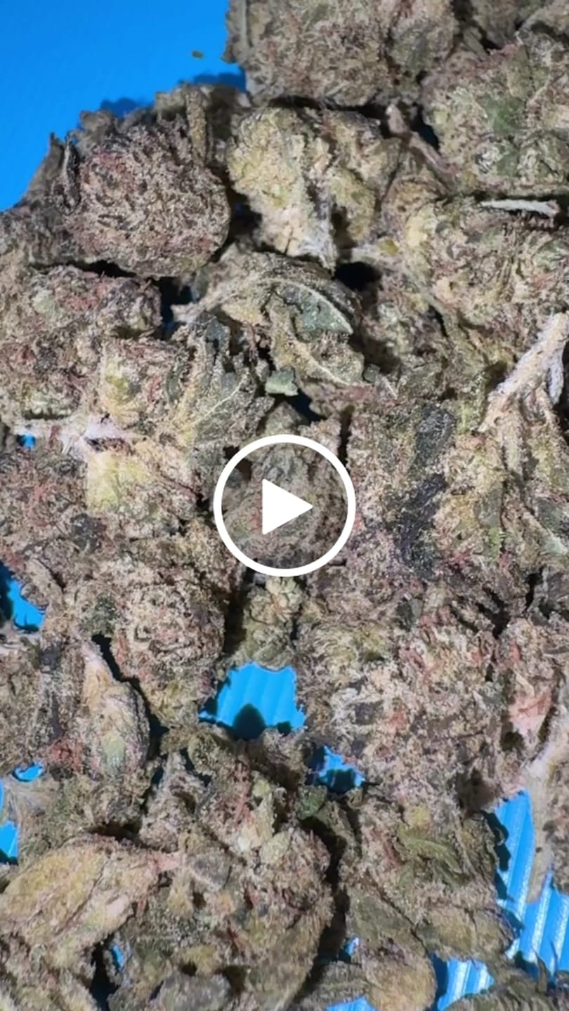 Customer video review of Indoor Smalls