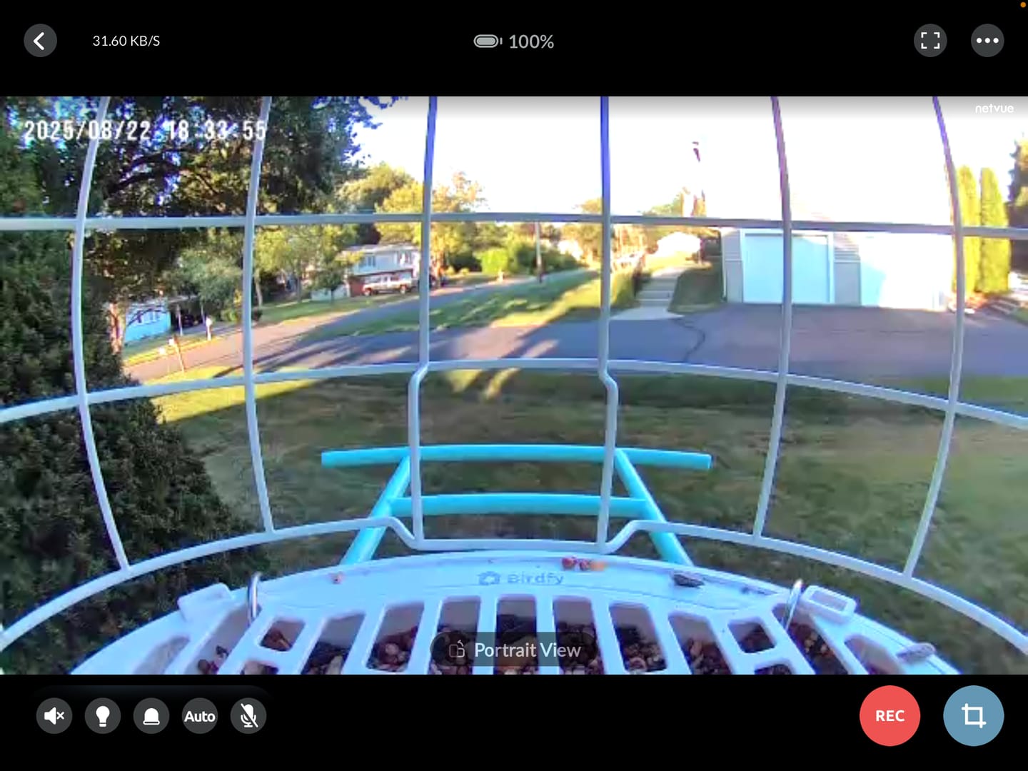 Customer photo review of Birdfy Bird Seed Guard