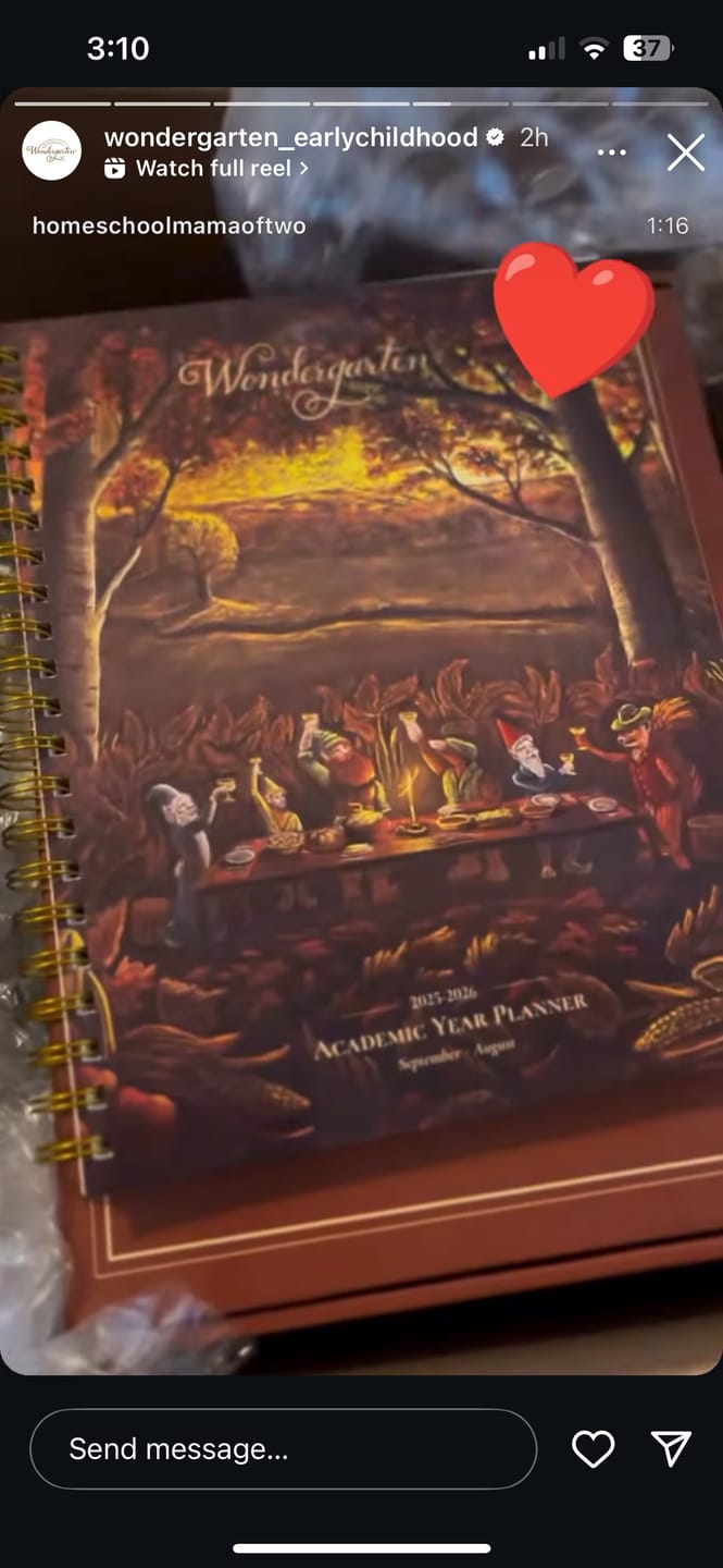 Customer photo review of Academic Year Planner 25/26 (2nd Edition, Pre-Order)