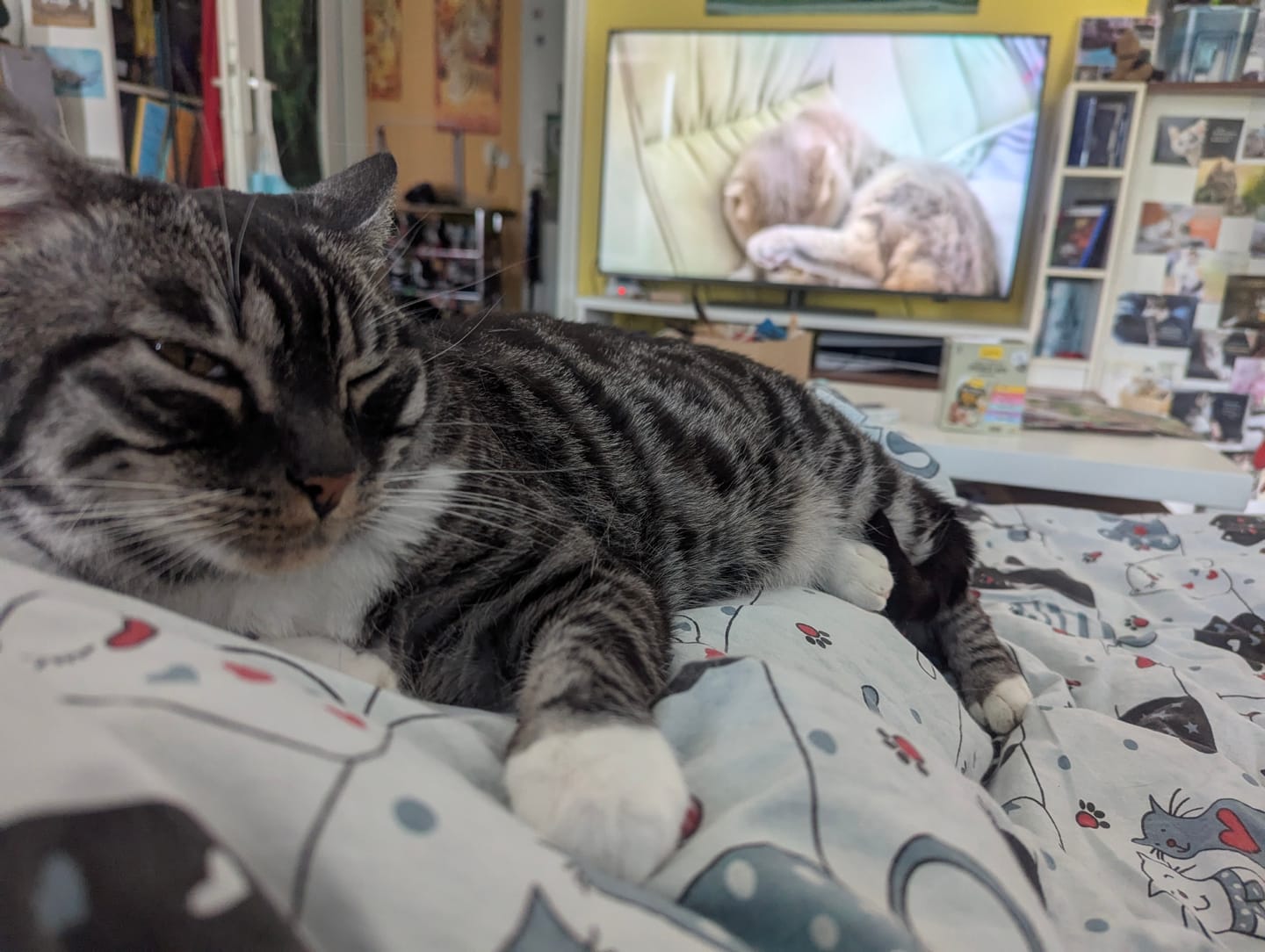 Customer photo review of Wurmtest Pro Katze