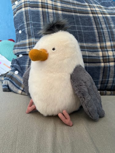 Customer photo review of Chip Seagull | Jellycat