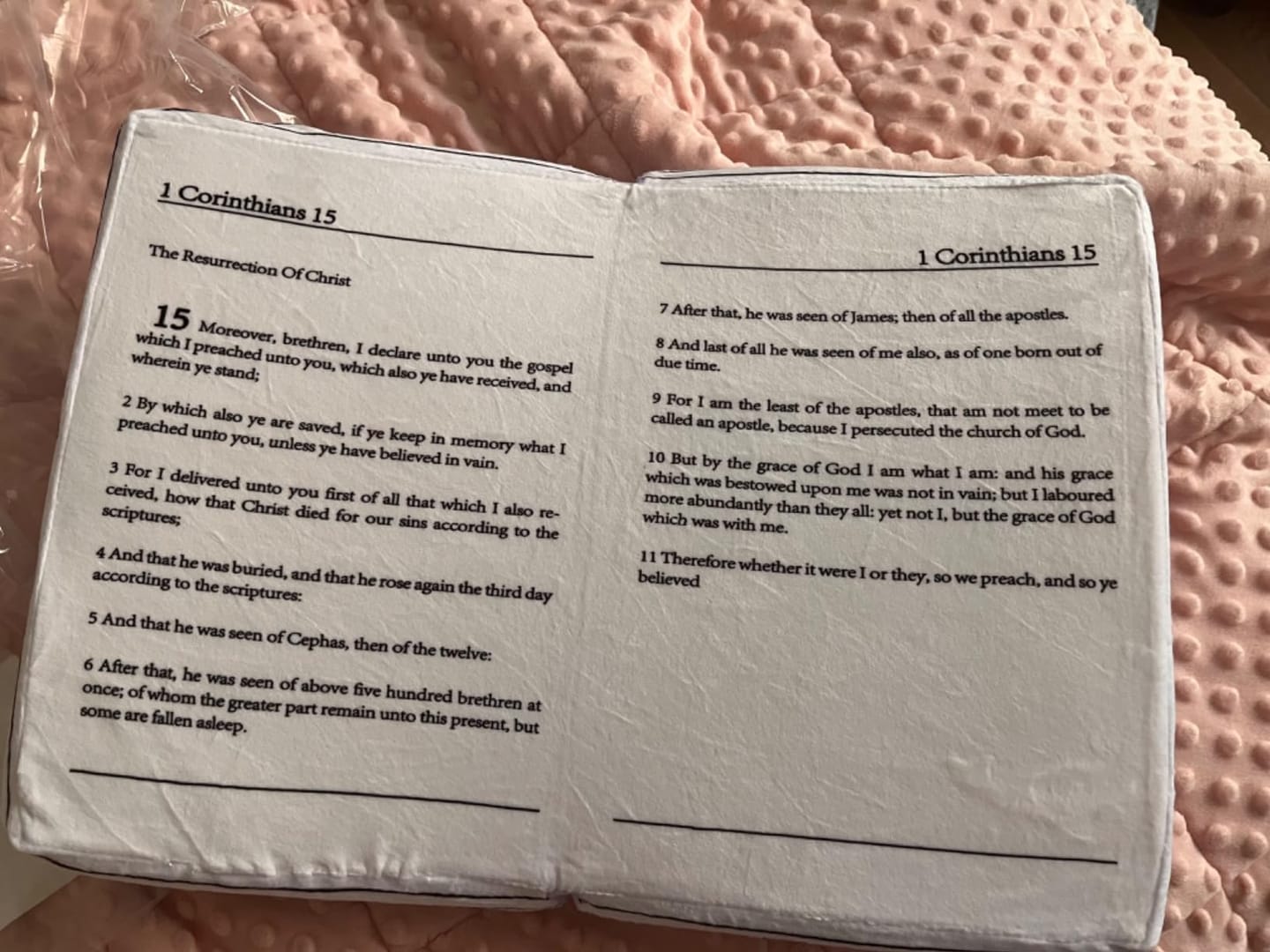 Customer photo review of 📖 Bible Pillow – Inspired by 1 Corinthians 13