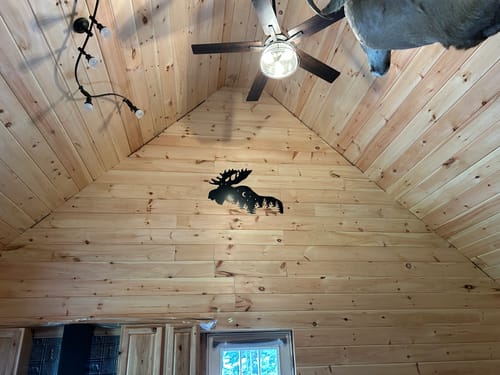 Customer photo review of Moose Alternative - Metal Wall Art