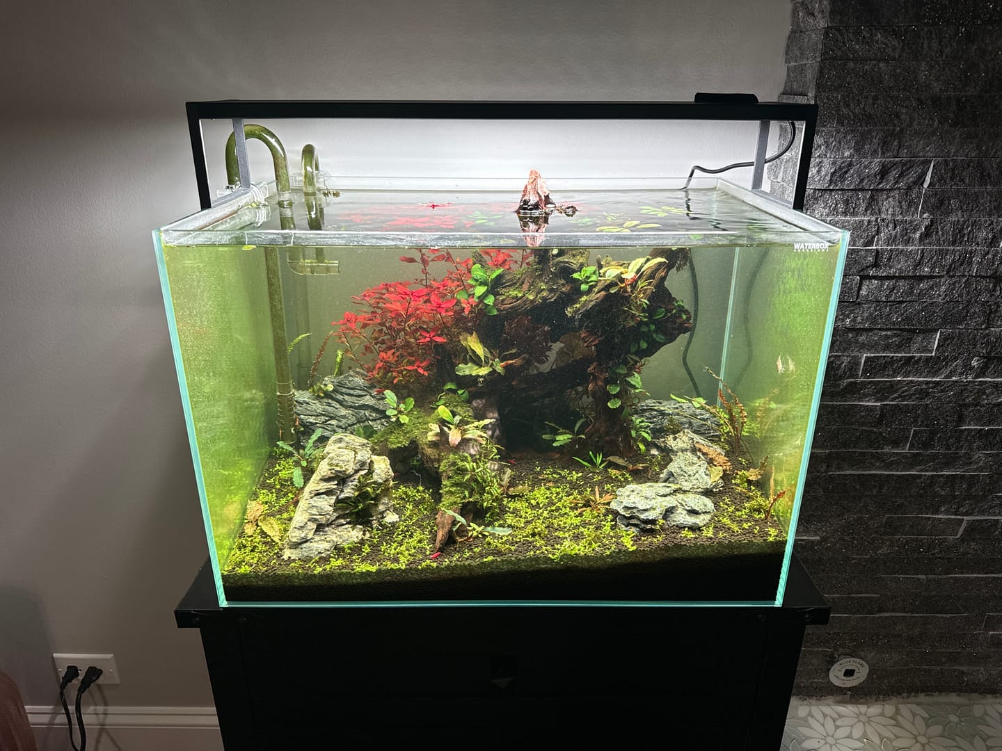 Customer photo review of Chihiros WRGB II Slim LED Light