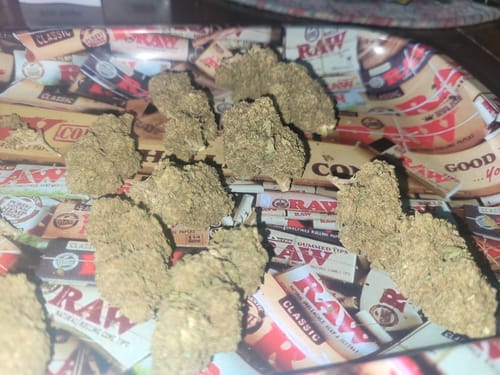 Customer photo review of Cheap THCA Flower Quarter Pound