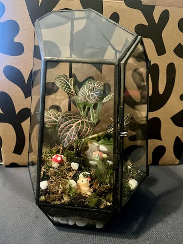 Review photo by Bonnie S