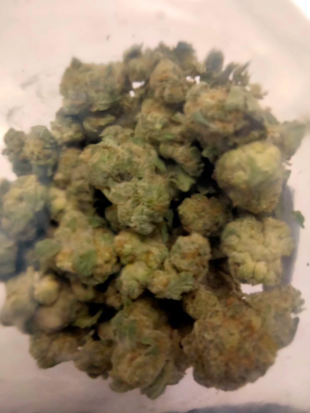 Customer photo review of Wedding Cake - Greenhouse THCA (Smalls)