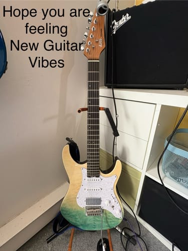 Customer photo review of Donner DST-550 Electric Guitar