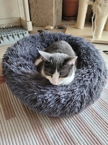 Customer photo review of Katzenbett Fluffy Plus mit Bezug