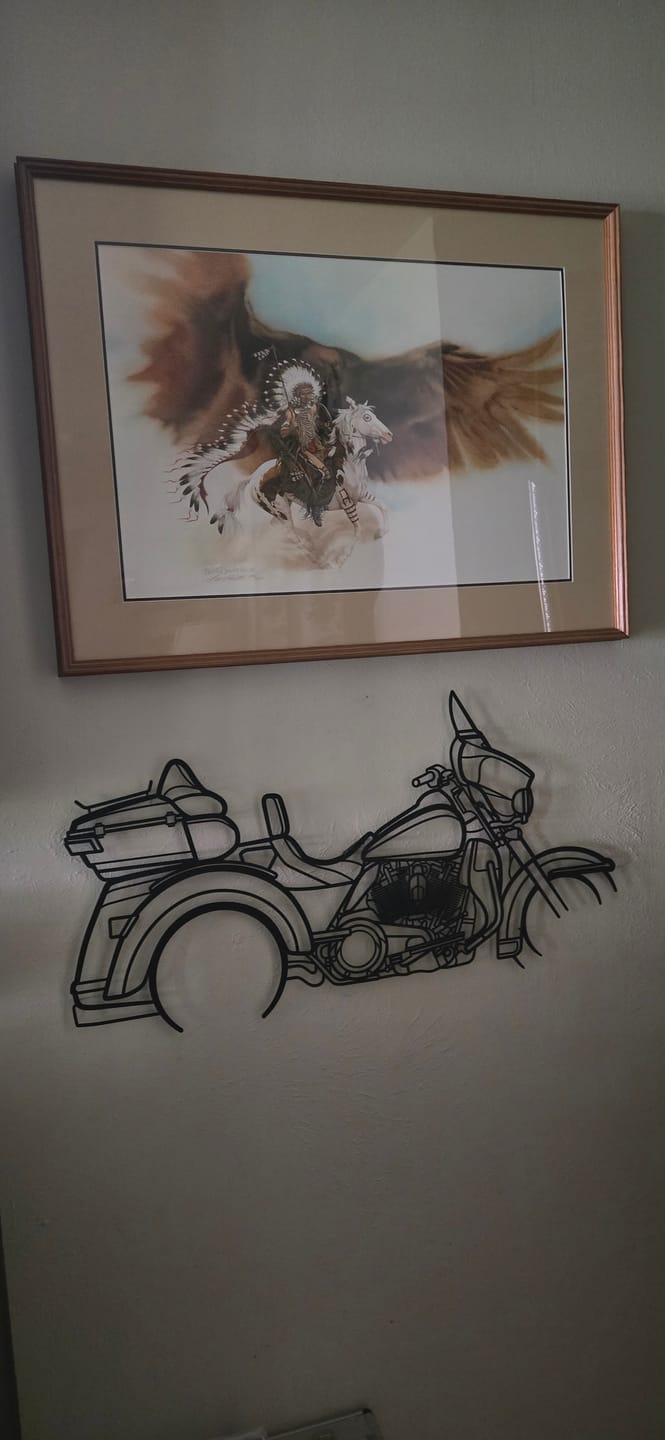Customer photo review of Tri Glide 2017 Silhouette Metal Wall Art