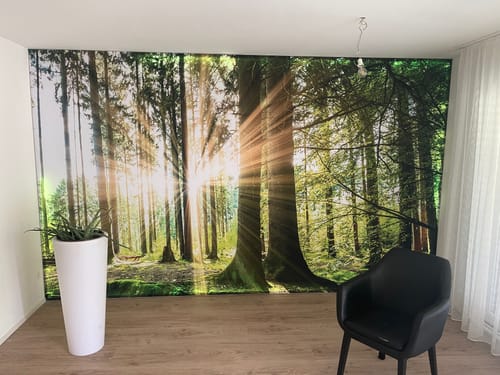 Customer photo review of Textilspannrahmen "Sonne strahlt durch den Wald"