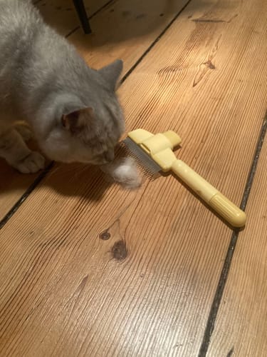 Customer photo review of Fellblitz-Bürste