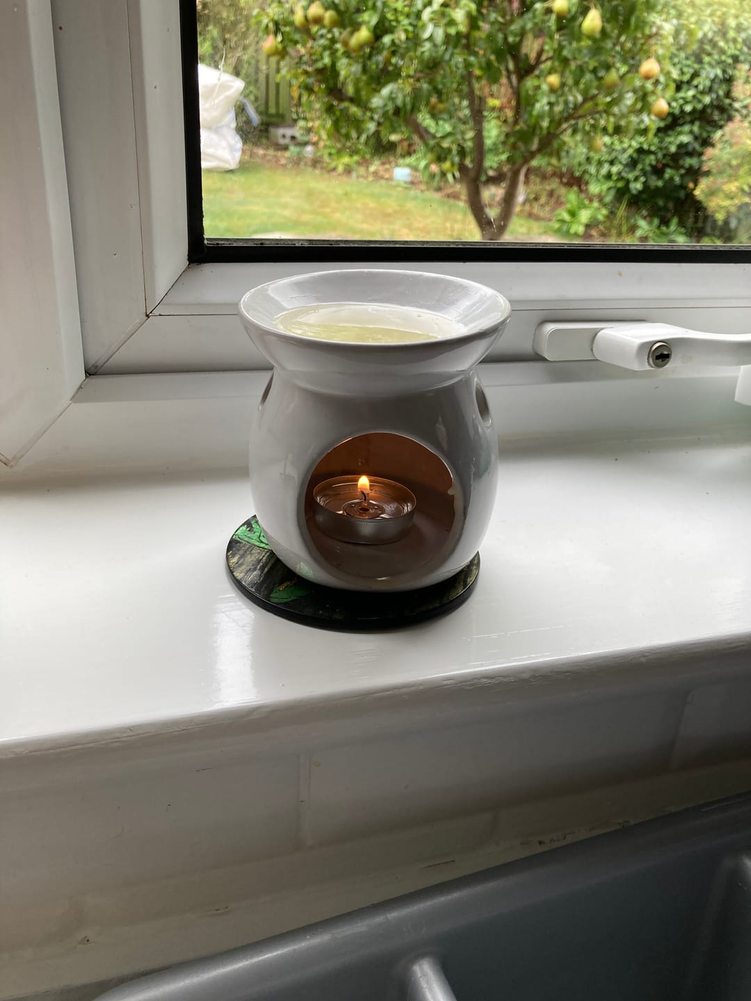 Customer photo review of Clean Gel Melt Bundle