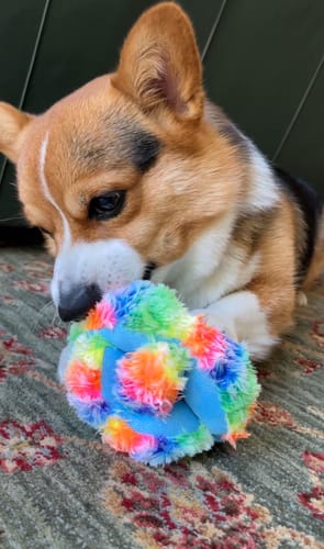 Customer photo review of Stuffies Treat Dispensing Plush Toys