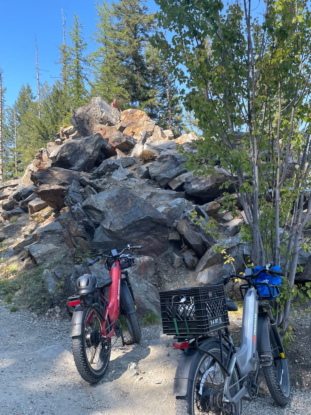 Customer photo review of FD Eden Step-thru Electric Bike
