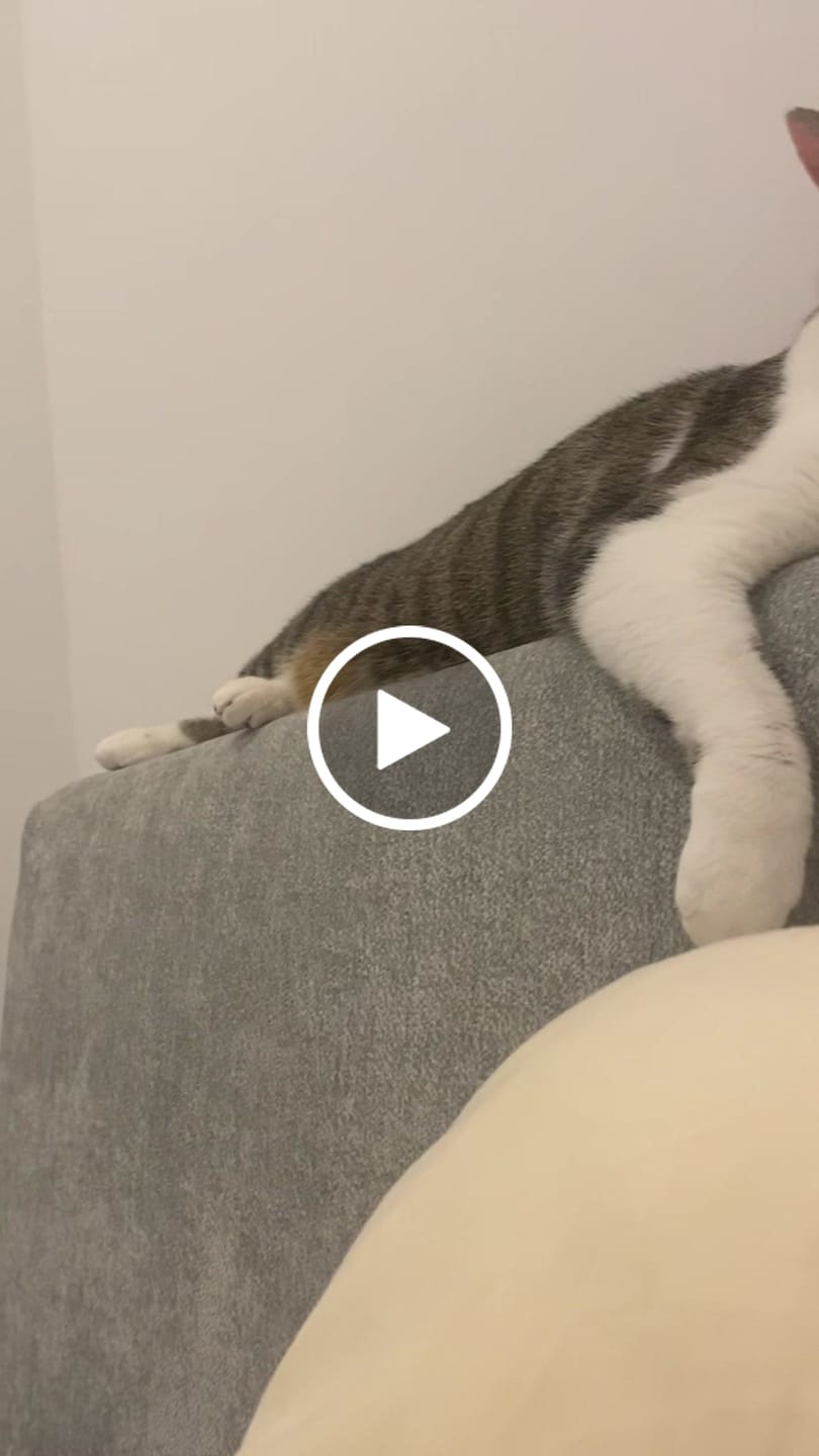 Customer video review of O2 Bed SmartFoam™ Cloud Frame