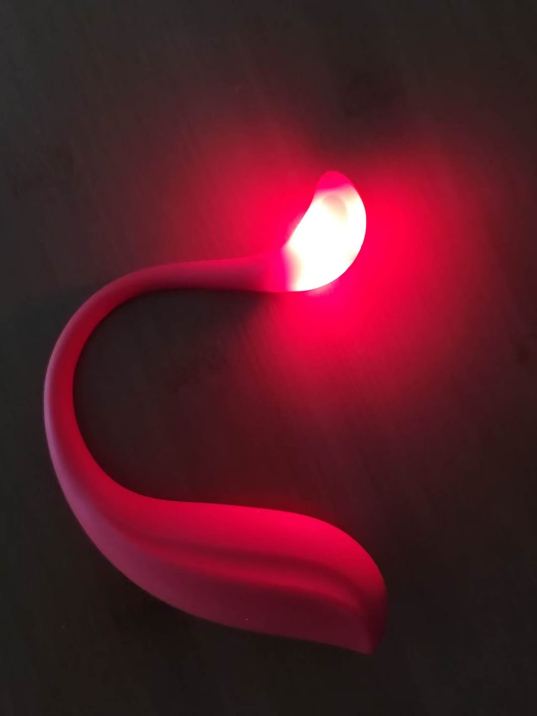 Customer photo review of PHOENIX NEO 2
