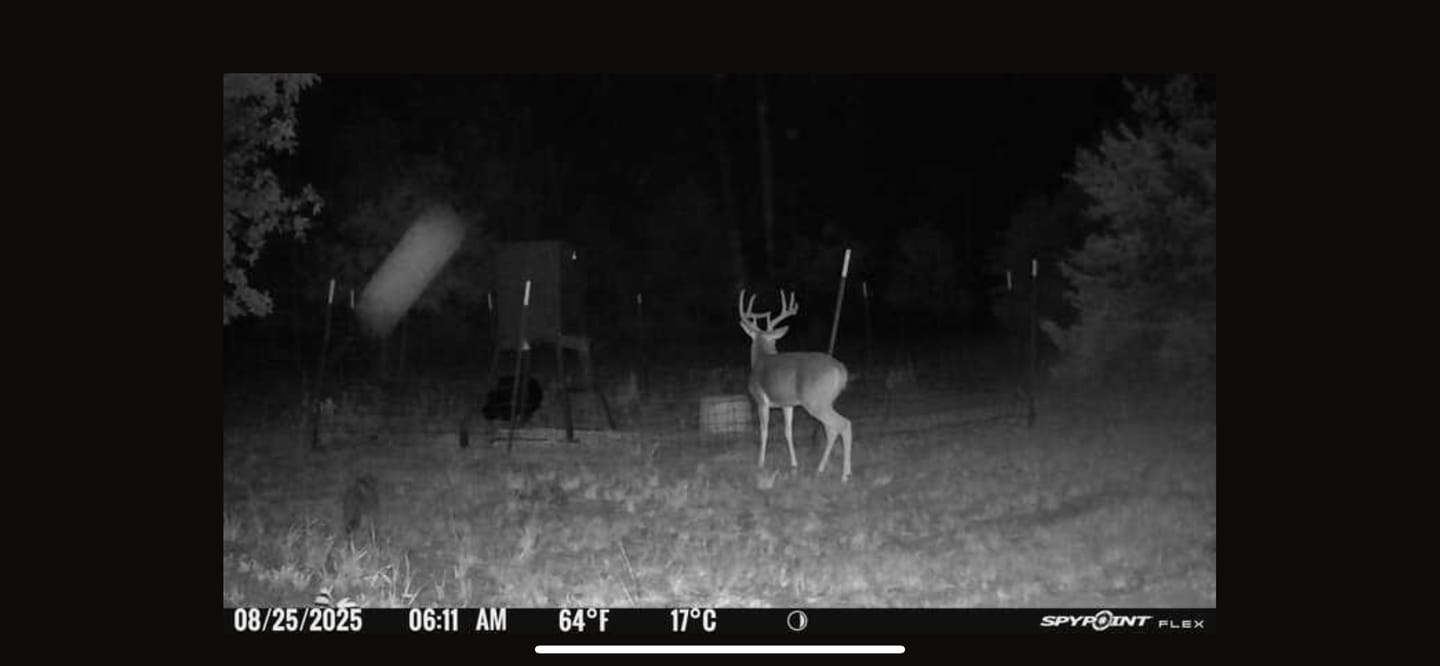 Customer photo review of GardePro X66 Pro Cellular Trail Camera