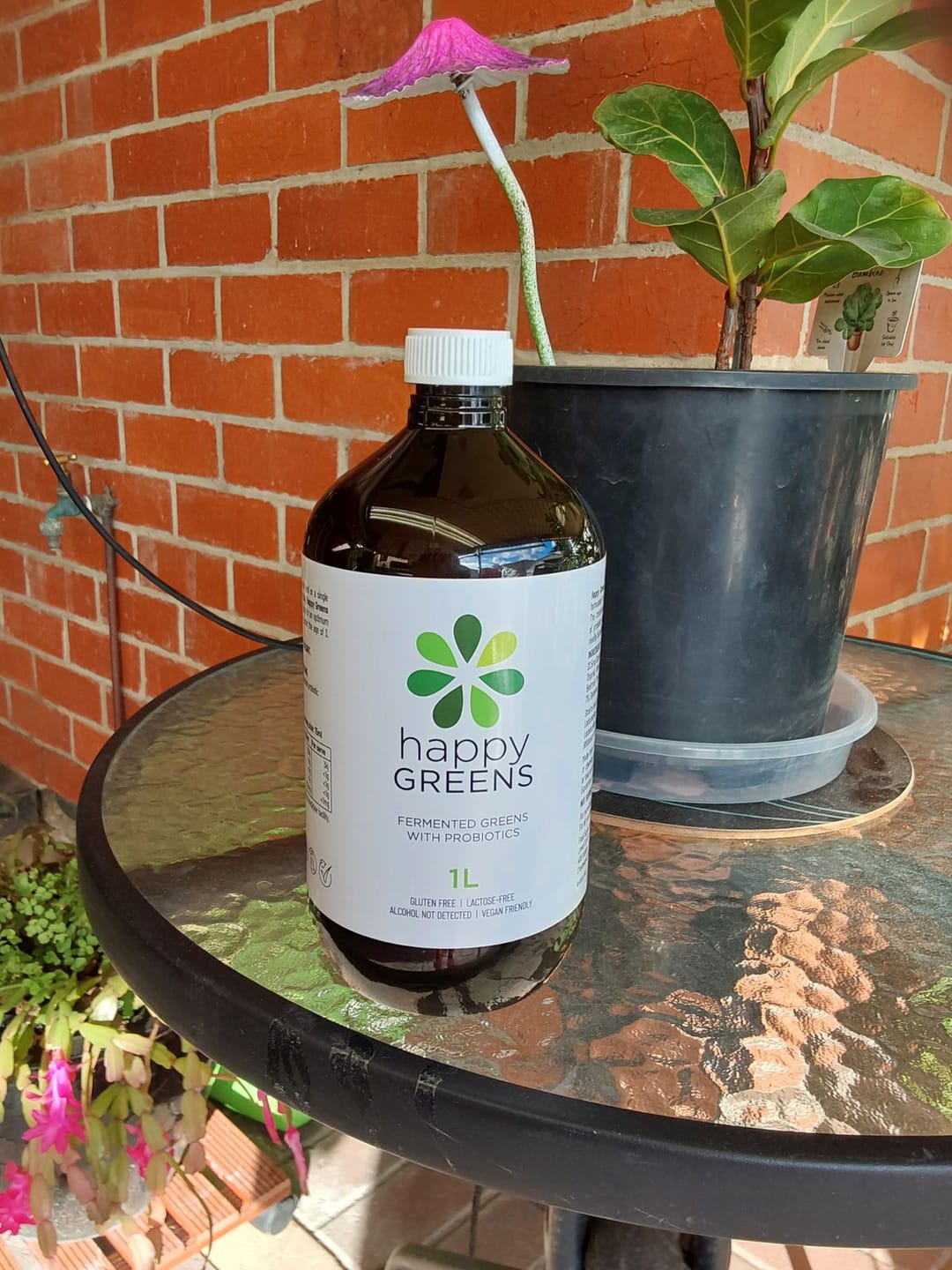 Customer photo review of Liquid Probiotics and Green Food Supplements - Happy Greens