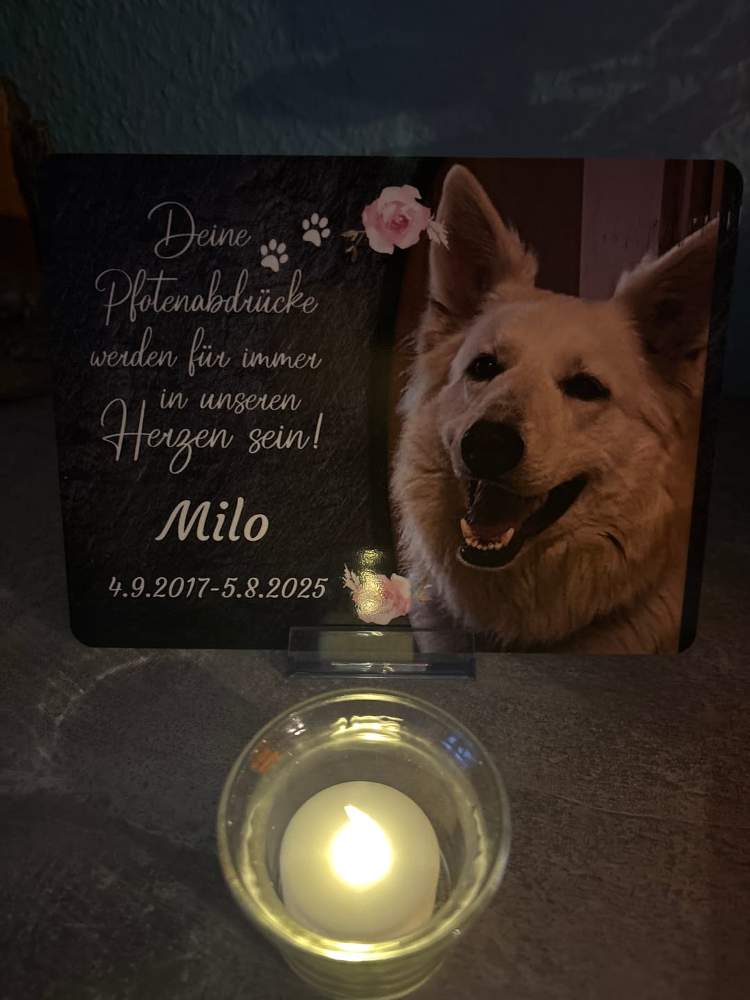 Customer photo review of Hunde Gedenktafel mit Foto & Spruch (UV- & Wetterfest)
