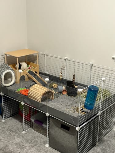 Customer photo review of 4x2 C&C Cage with Stand