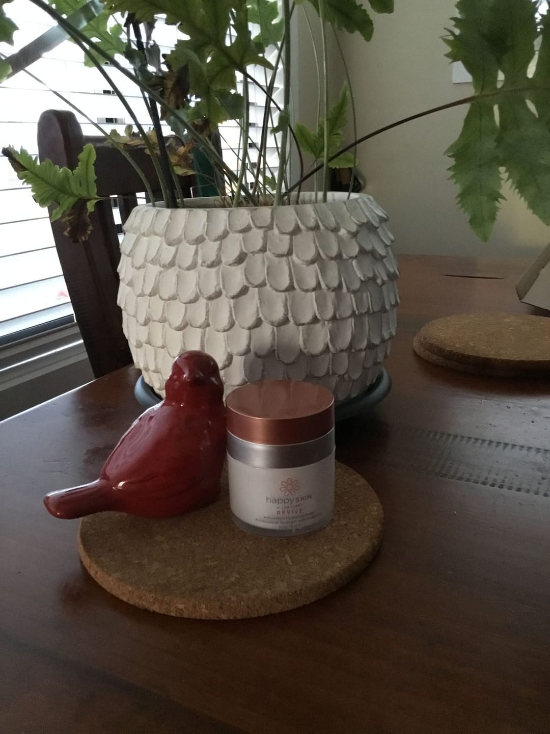 Customer photo review of Revive | Antioxidant Hydrating Cream
