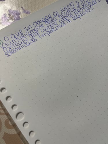 Customer photo review of Languo - Pack 50 Hojas para Libretas Anilladas Tipo Binder B5 con Sistema Refill