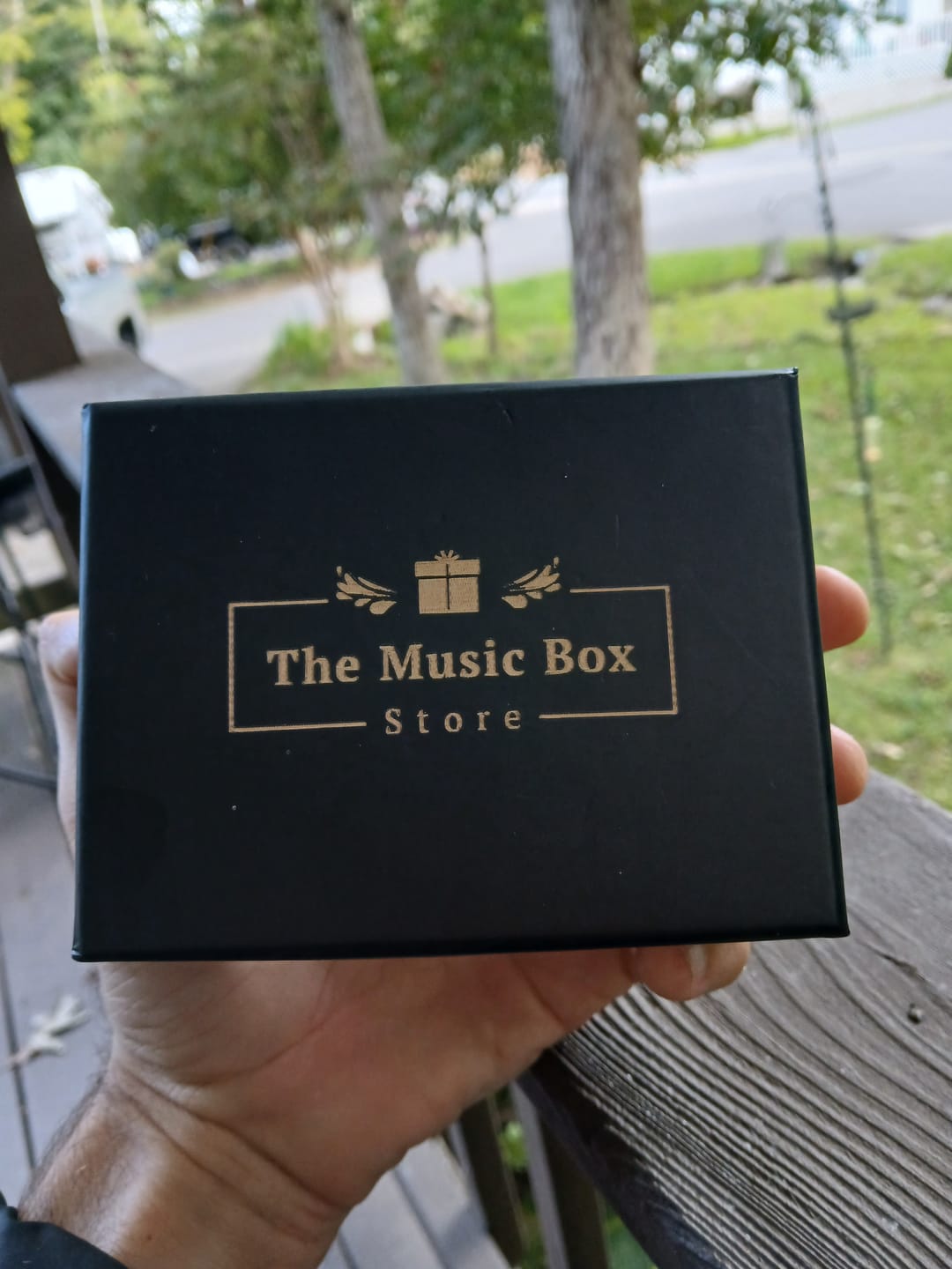 Customer photo review of Wind-up Music Box