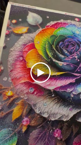 Customer video review of 5D Diamond Painting – Farbige Rose