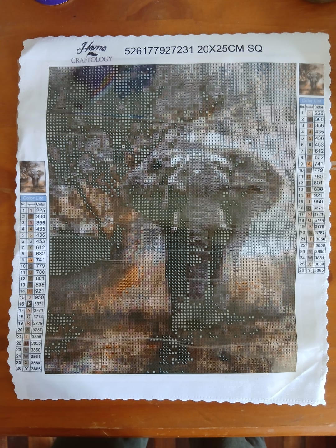 Customer photo review of Elephant - Premium Diamond Painting Kit