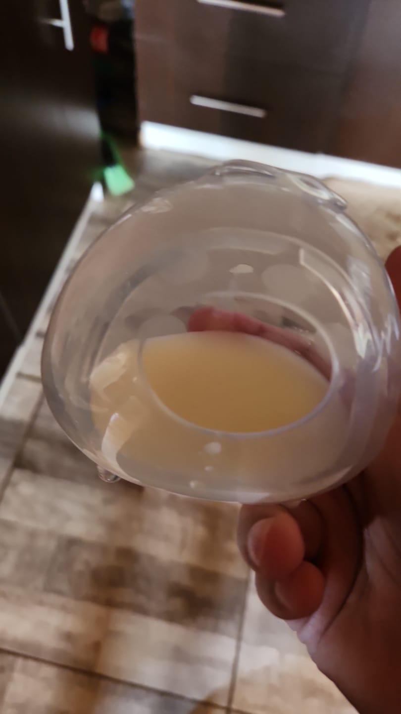 Customer photo review of Recolector de leche materna Haakaa LadyBug 75 ml Pack 2 unidades