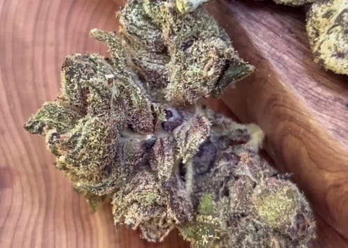 Customer photo review of Blue Lobster