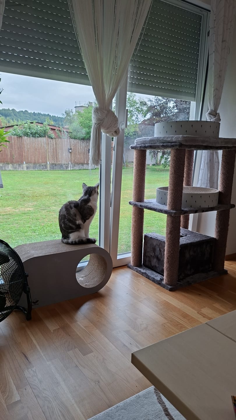 Customer photo review of Kratzmöbel Cozy Cave