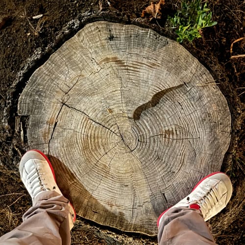 Customer photo review of Sorrel - Scarpe Barefoot