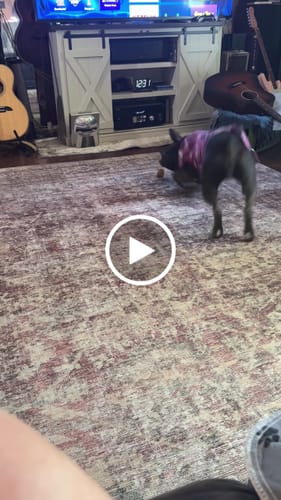 Customer video review of Smoked Beef Marrow Bone