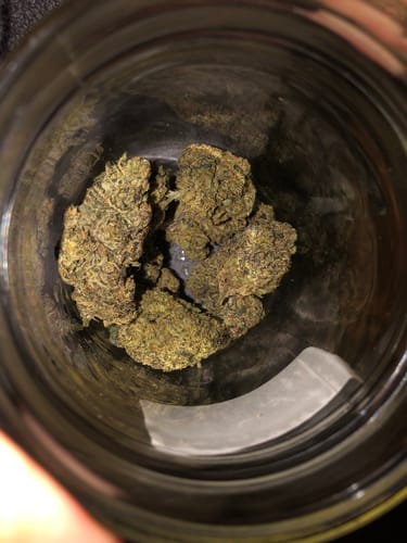 Customer photo review of Cherry Pie