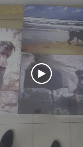Customer video review of יצירת פוסטר מתמגנט מתמונה