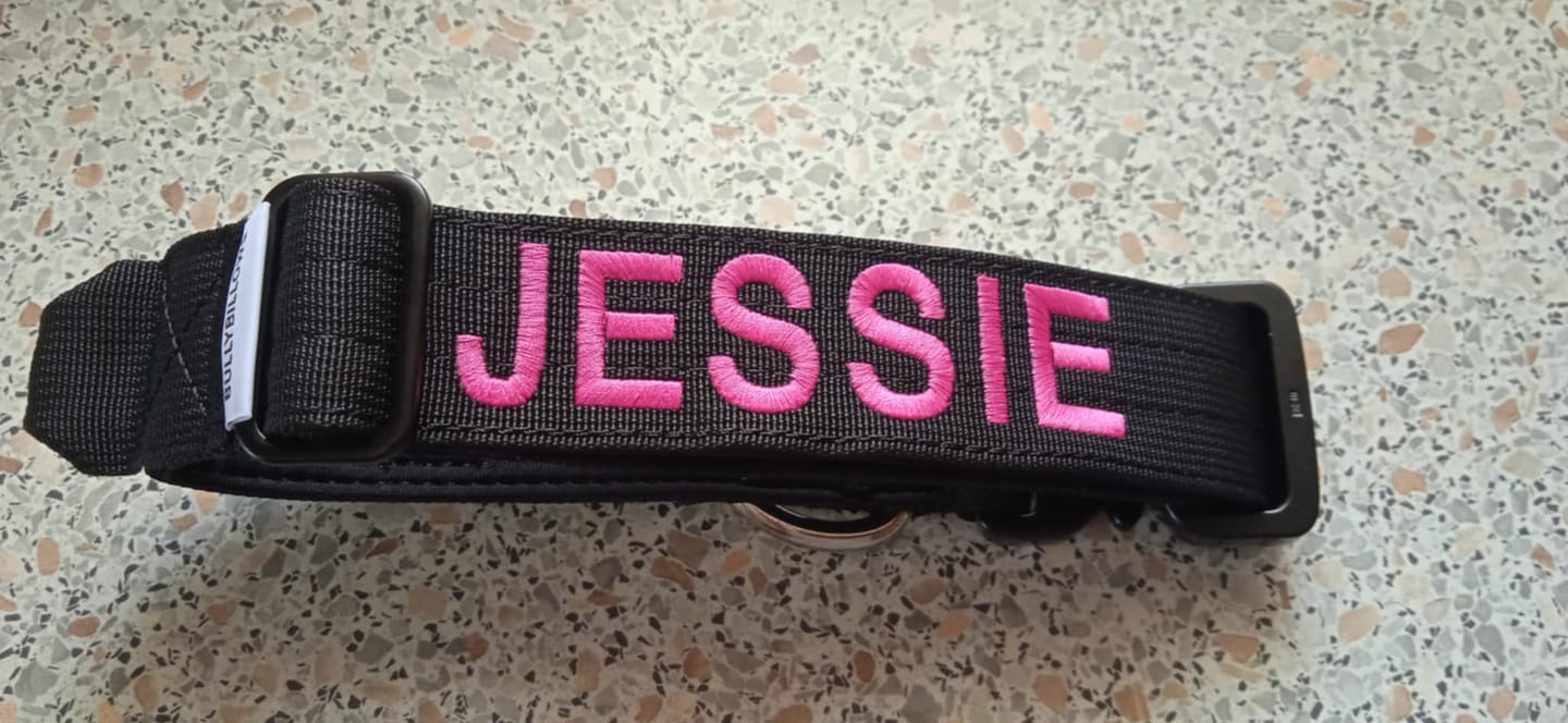 Customer photo review of 4cm Combat® Collar | Handle & Rated Clip - Black