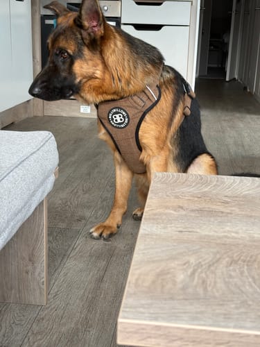 Rav B. review of Premium Comfort Herringbone Harness | Non Restrictive - Classic Tan image 1 out of 2