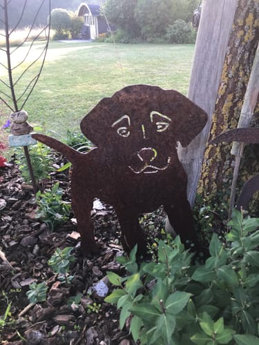 Customer photo review of Gartenstecker Labrador Welpe