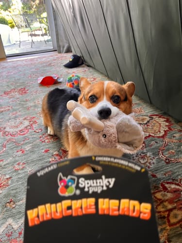 Customer photo review of Knuckleheads 2-in-1 Toy
