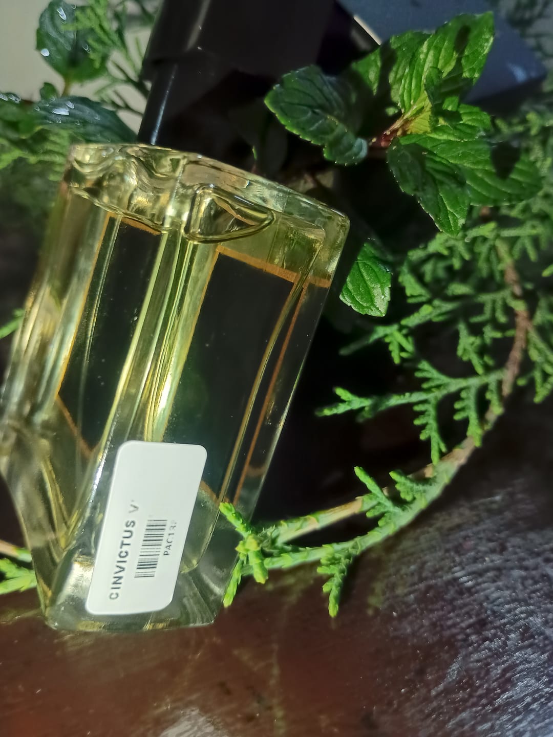 Customer photo review of Tendencia a CInvictus Victory Elixir