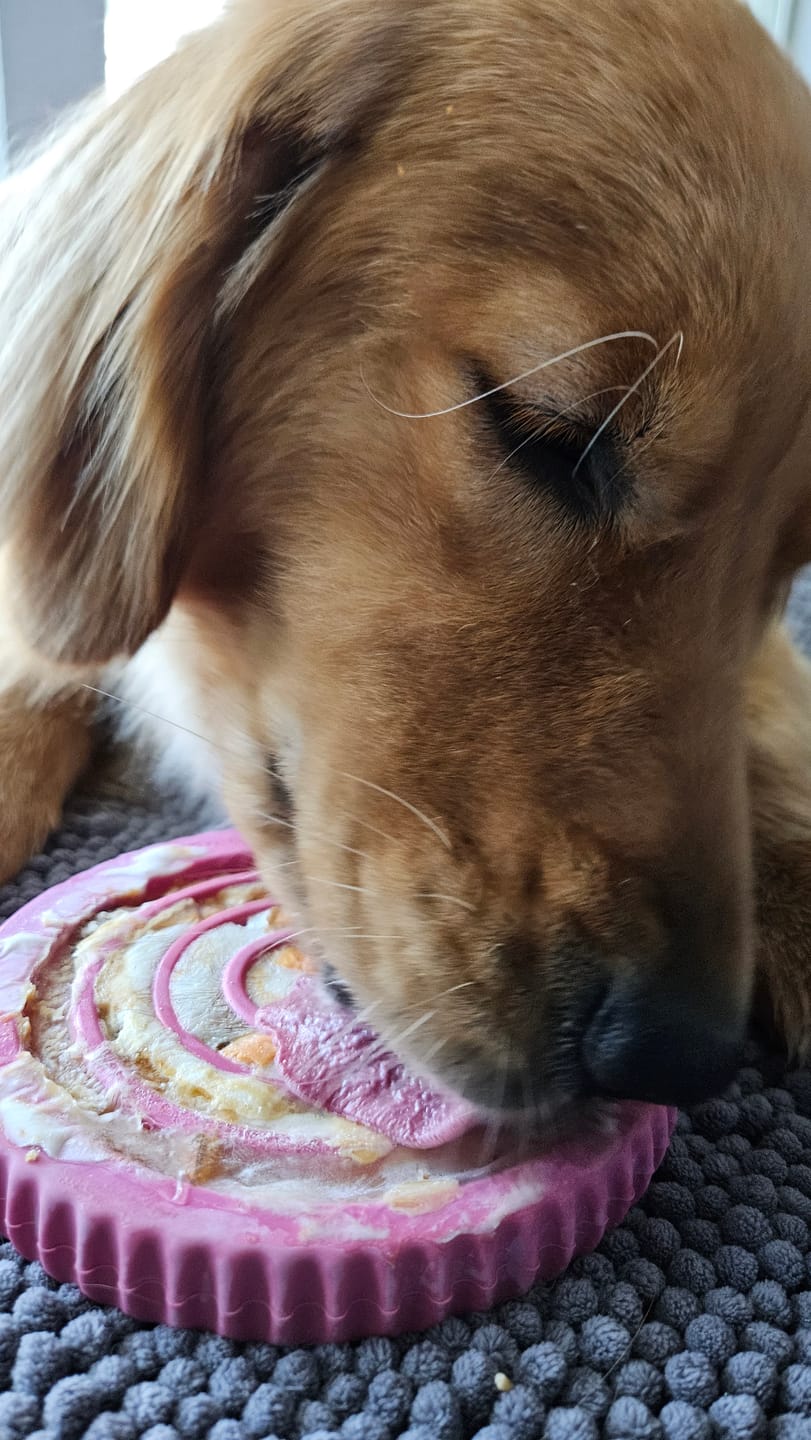 Customer photo review of FreezSwirl - Durable Stimulation Toy