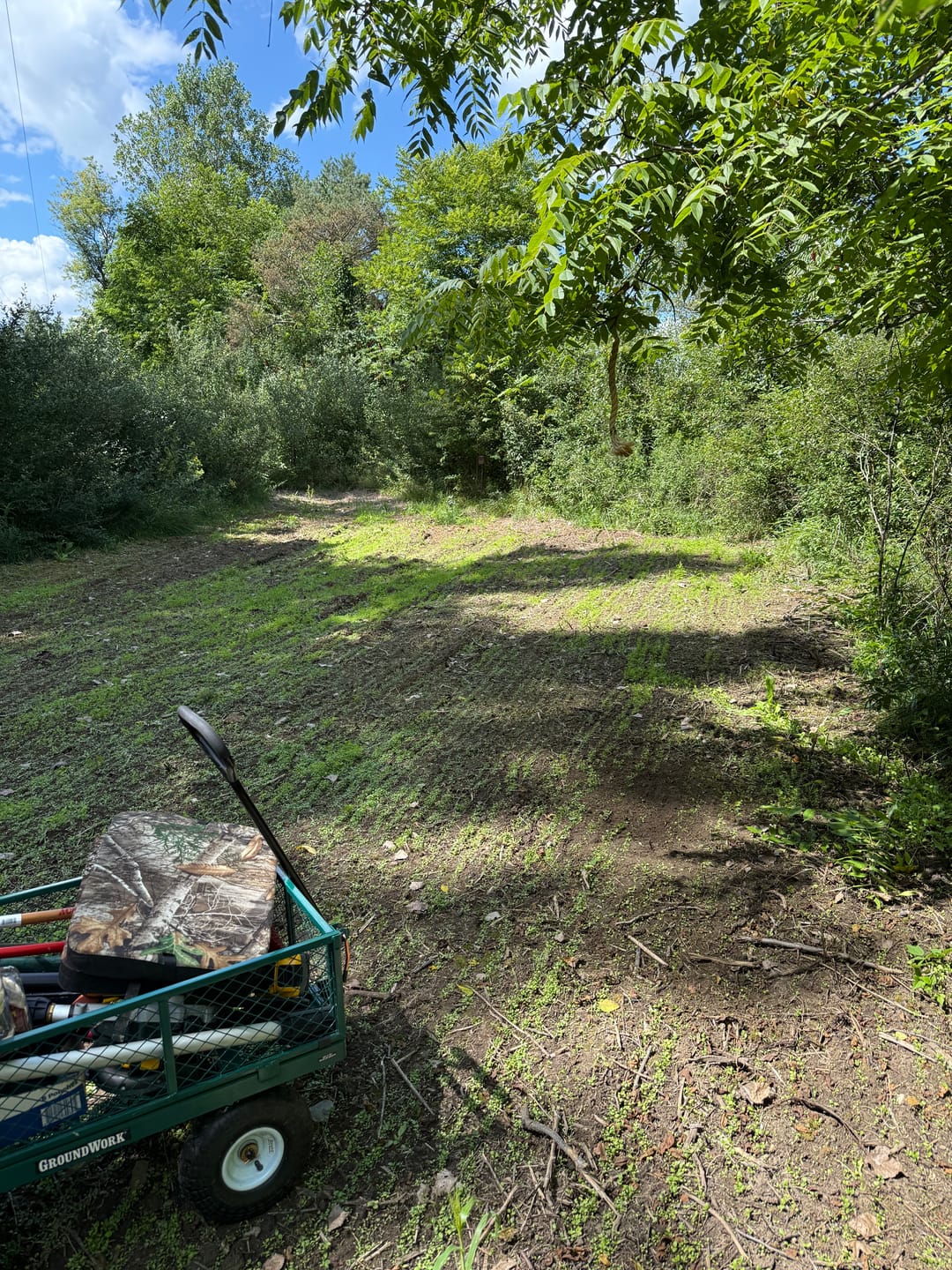 Customer photo review of No Plow No Problem