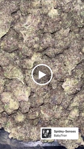 Customer video review of Lava Cake - Bulk - Indica