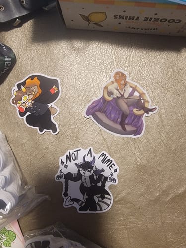 Customer photo review of 100 - 3" Custom Vinyl Stickers