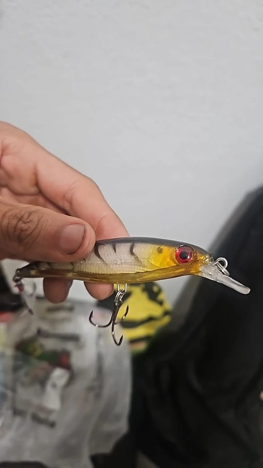 Customer photo review of Vielseitiges Minnow-Köderset
