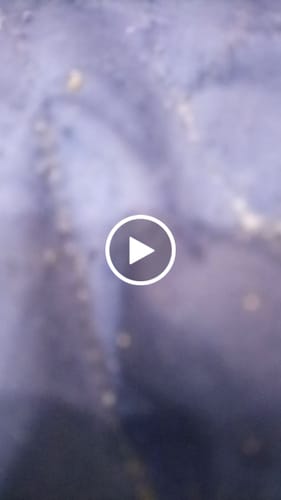 Customer video review of RAF Infrared Electric Stove - Russia Lot - 1 Year Warranty