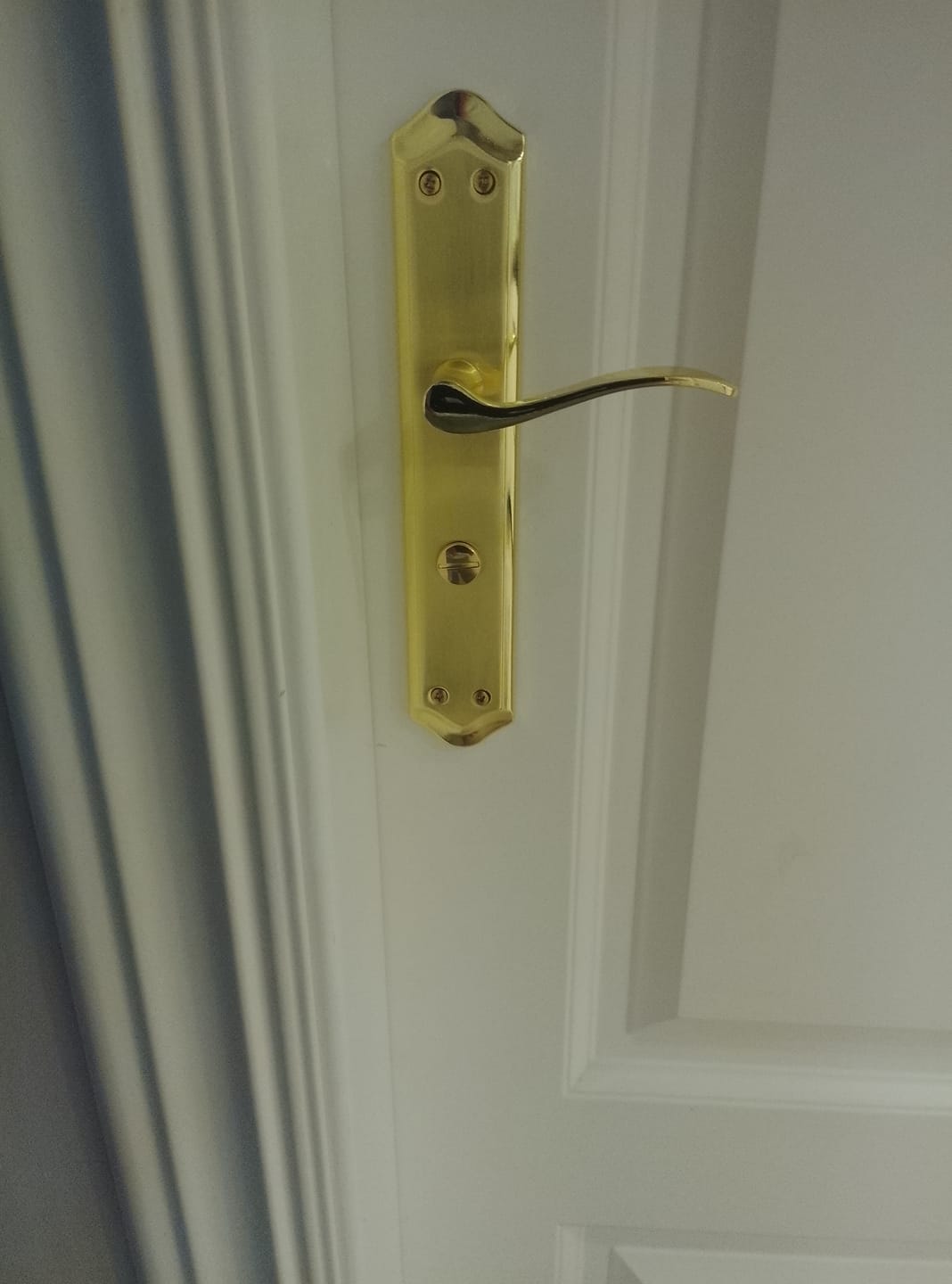Customer photo review of Manilla MASTER acabado dorado satinado con placa ovalada curva para puertas