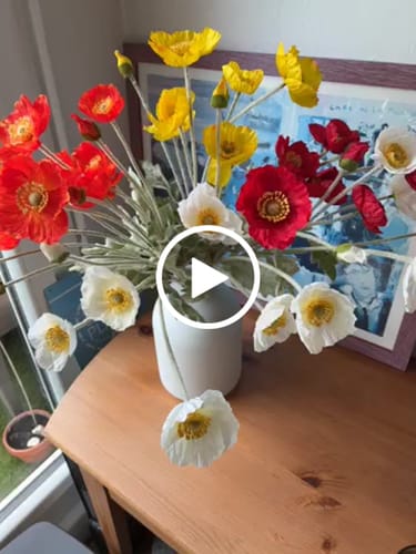 Customer video review of Coquelicots - Mélange d'été (10 tiges)